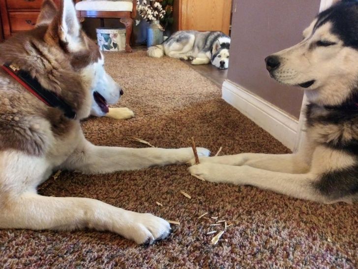 140fe8592782f5eb8fb706213d