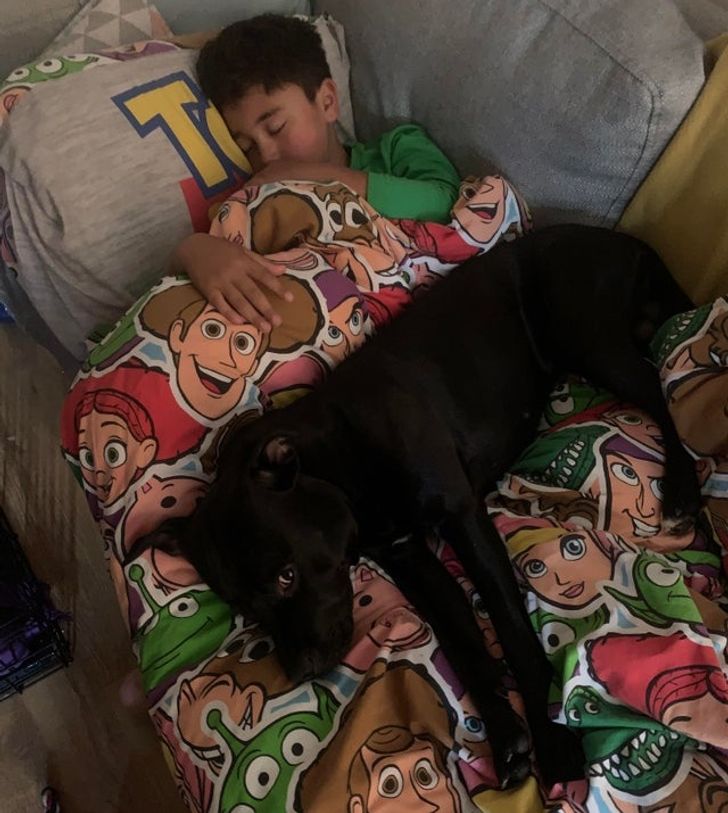 14101c5b78ad16788d649e0ce0