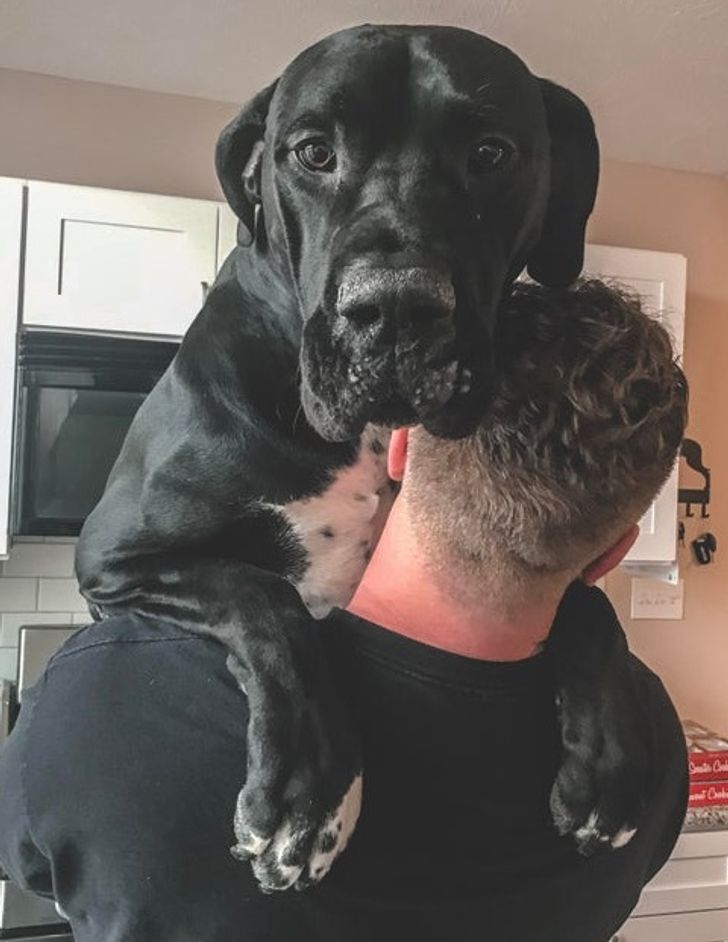 14129e5e5e96ea613e87ebeacb