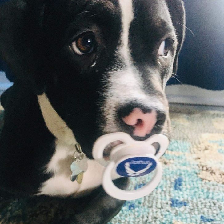 1417b7558b8102fc5e41406e0a