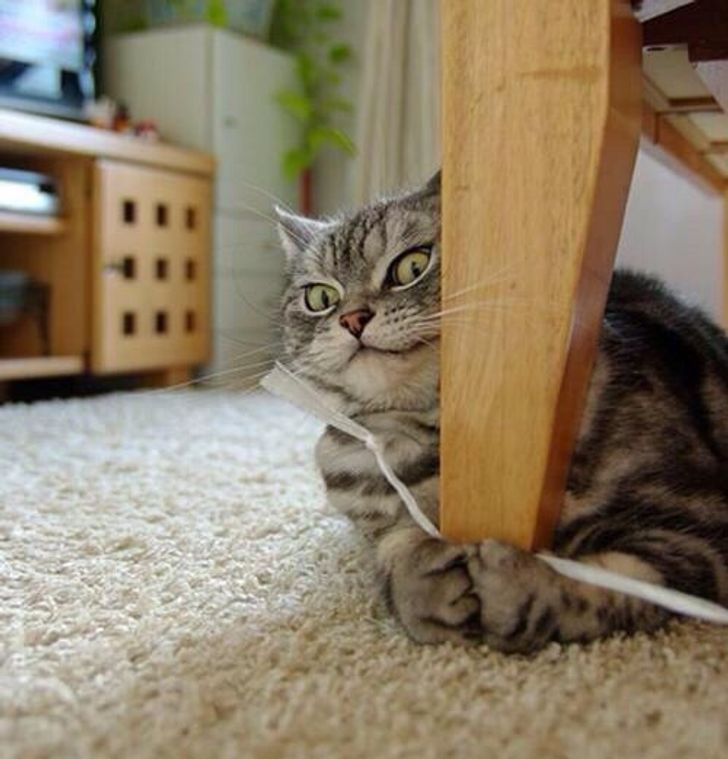 141d8d5e01b0661f6908d75974