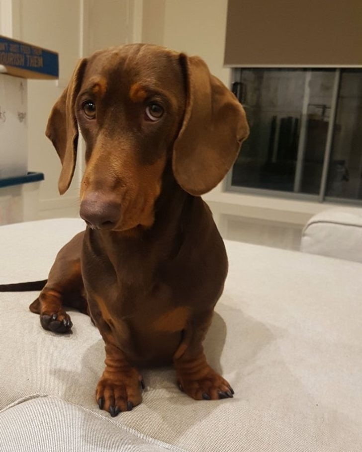 1425d8569db2a3105918710b81