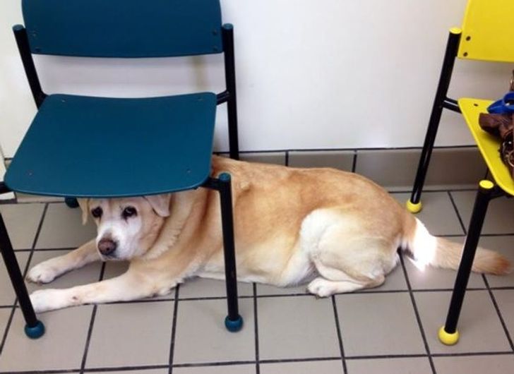 142955548d973db885506ed8c3