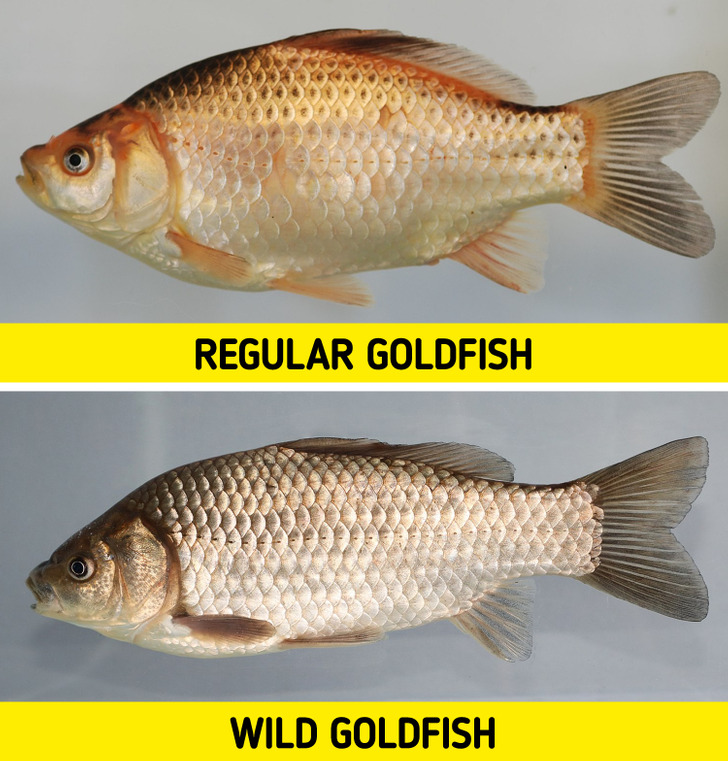 142fd657c1854733a6134864f5