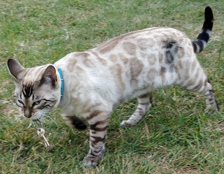 142fef582db2150f276dede01b