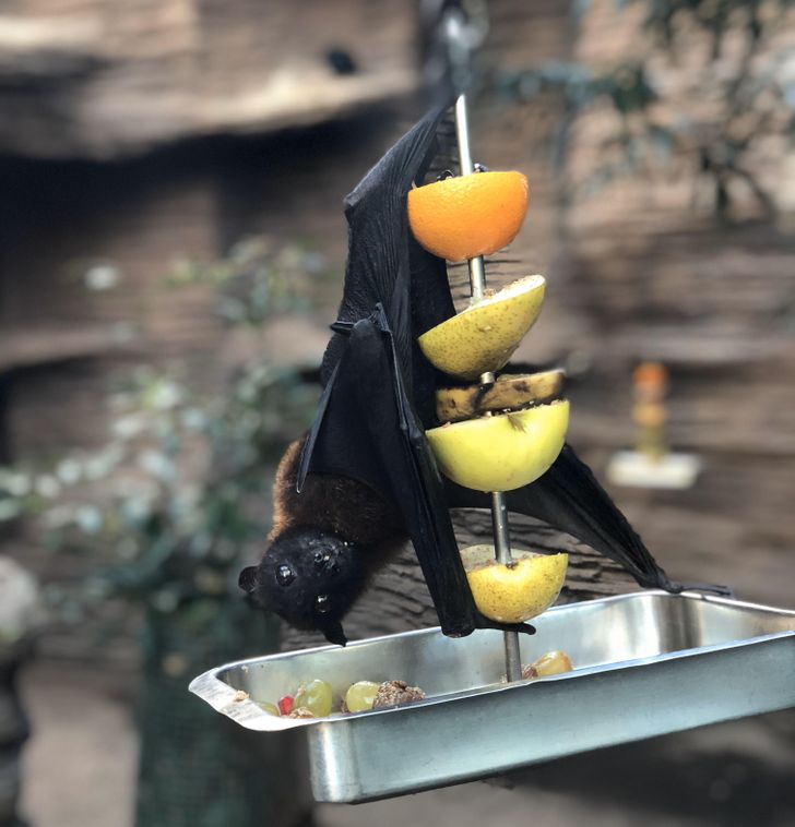 1431f35284bd5190131c68175e