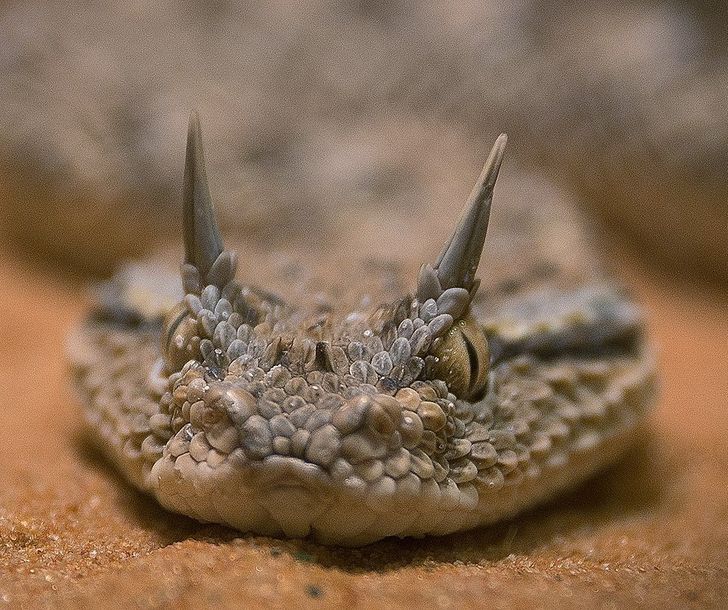 14324152ff8604d6f8aac26321