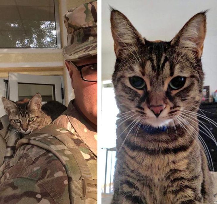 1435e35f82b5128040b74adff6