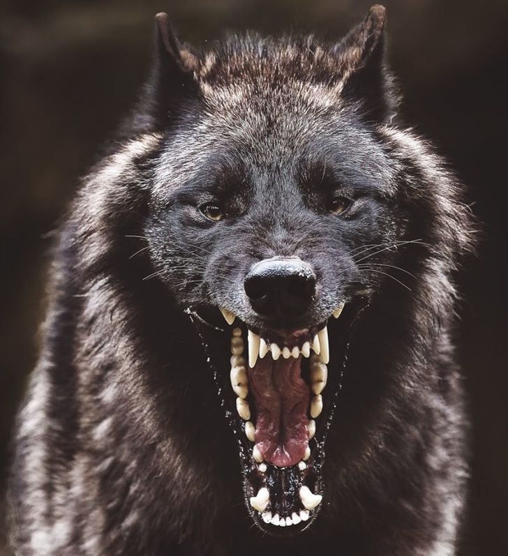 143aad5a49b74bf8e5795c2631