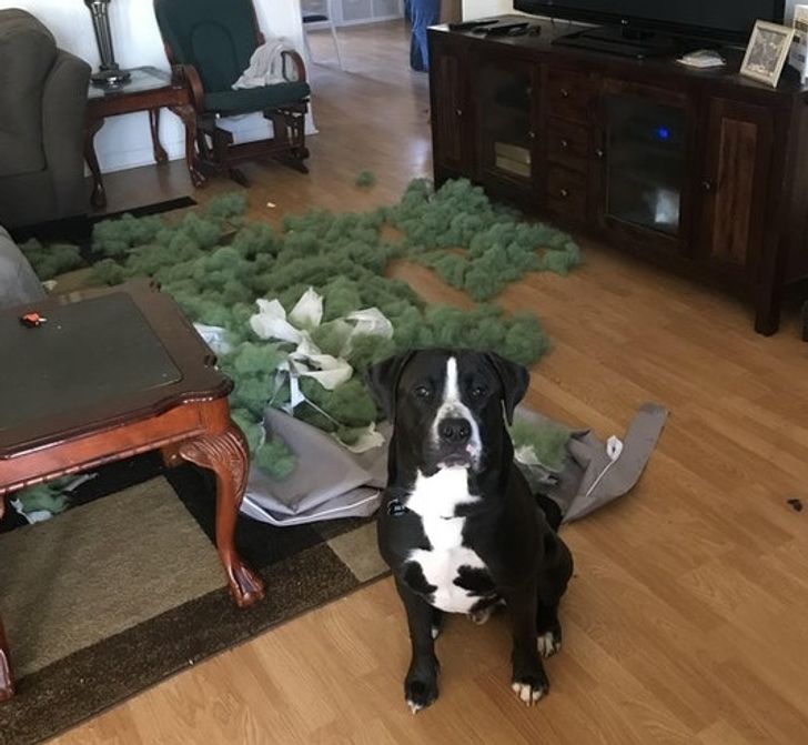 143ea35048b2de62a70042a75a 143ea35048b2de62a70042a75a