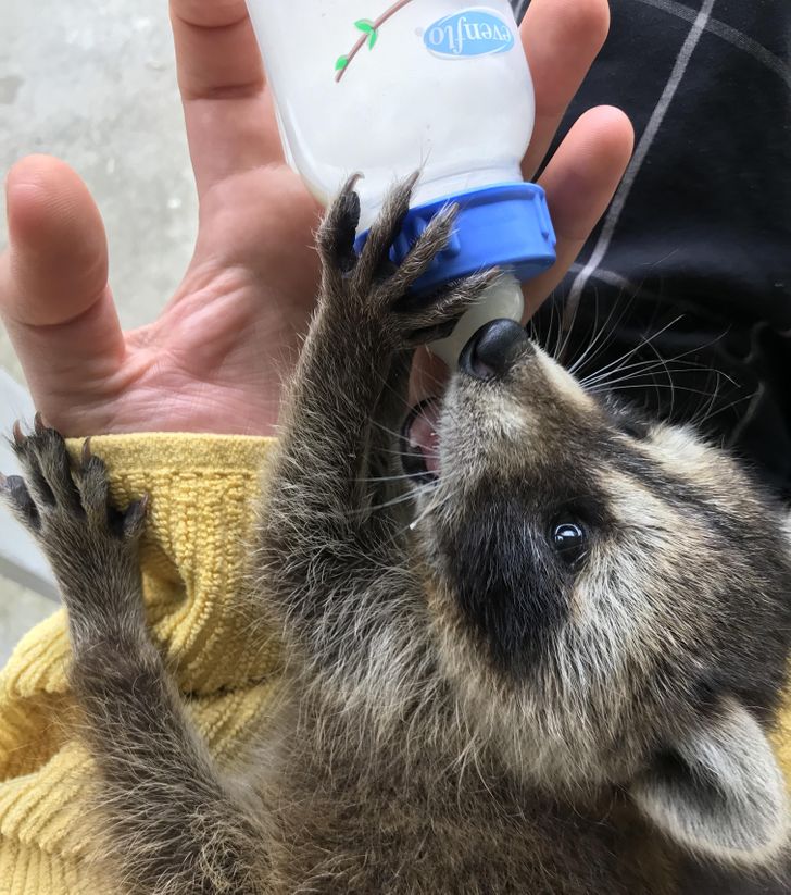 1448a555338aead84ca0d0706c