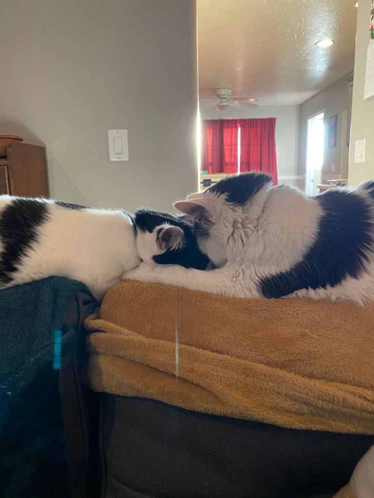 144b3a53a9871f7903cd0acbfa