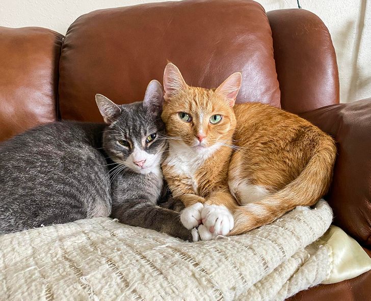 145b085c1a8495229d0b3790fd 145b085c1a8495229d0b3790fd