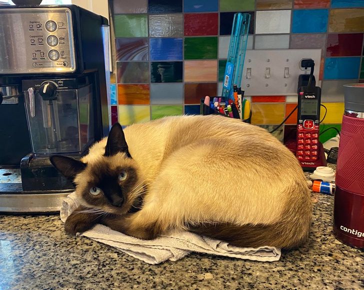 1460115122a3731464c130e0ef