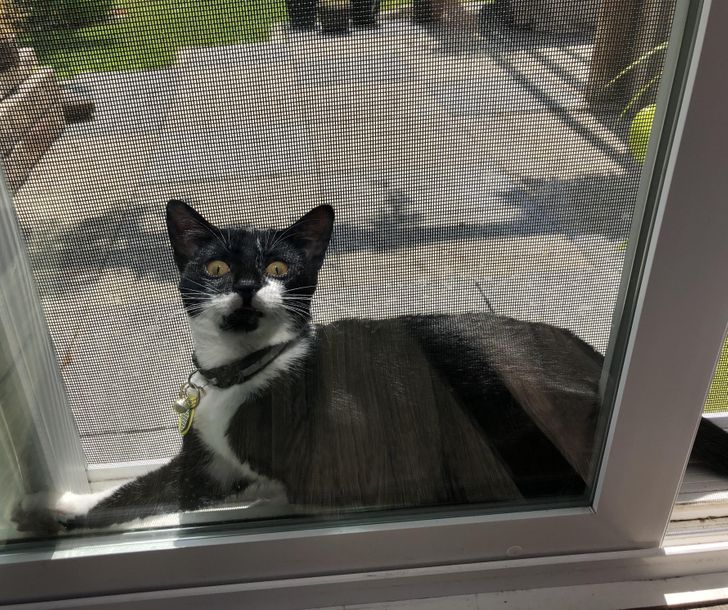 146b0c54a3ba60458d0c868a1a