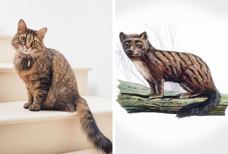 146bcb5f3f943c1f5136aac520