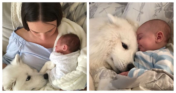 1470855e3c911c85e5ee4808e9