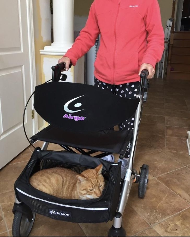 147b5652ec8f04884c30f0864d