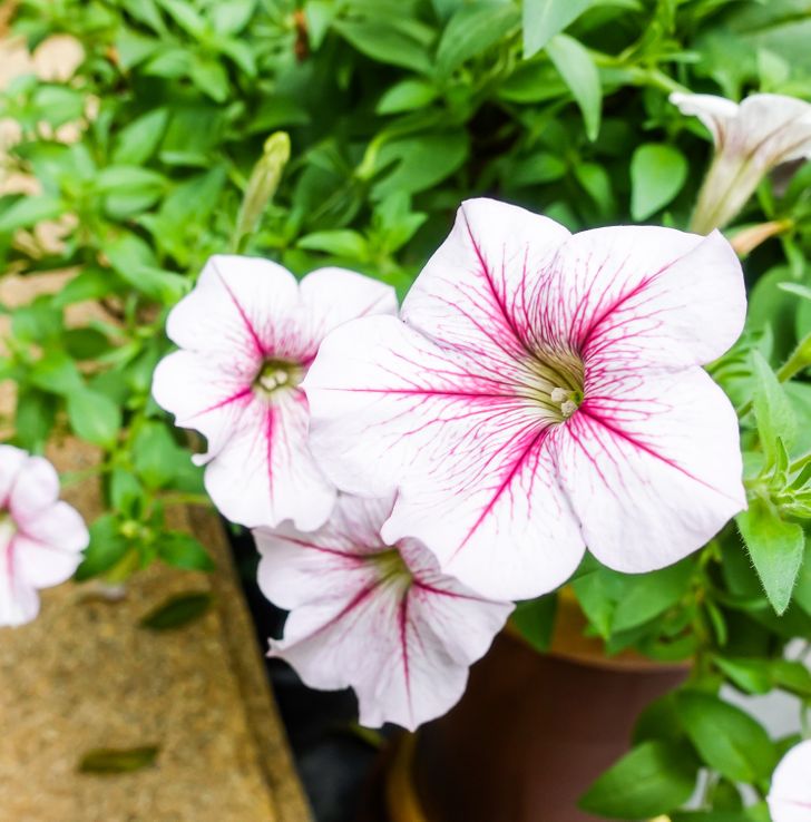 147eff5dc5b42a79b0e8206bc6