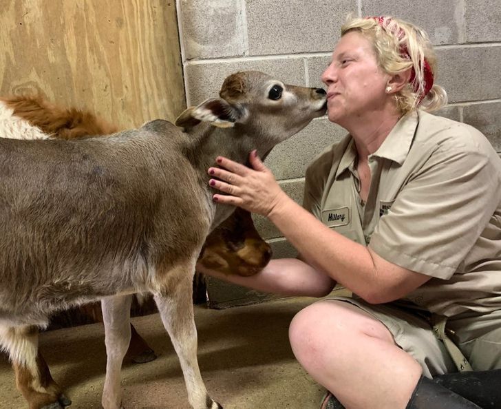 1484965941953fe4e081adf226