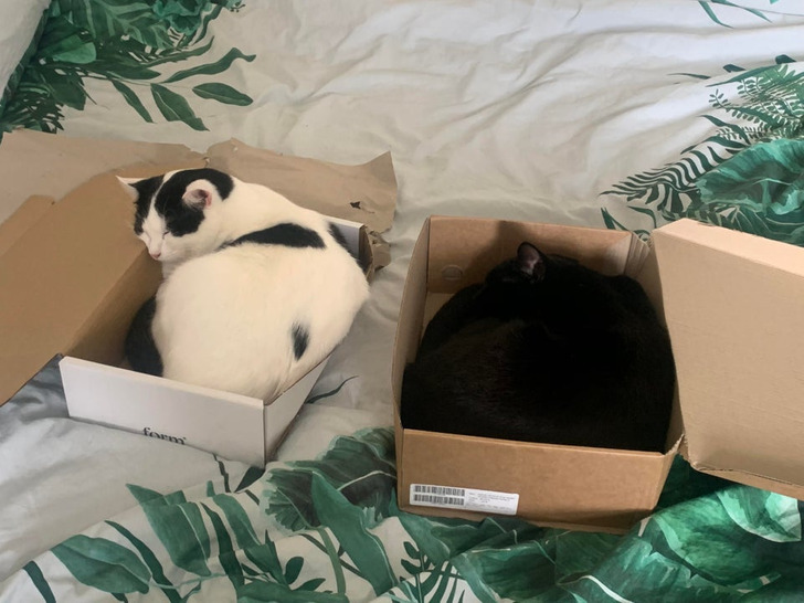 14866d5e05a253d9345dbd19f5