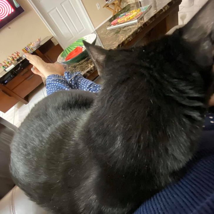 148b4f5a018ddad8d921efa1e2