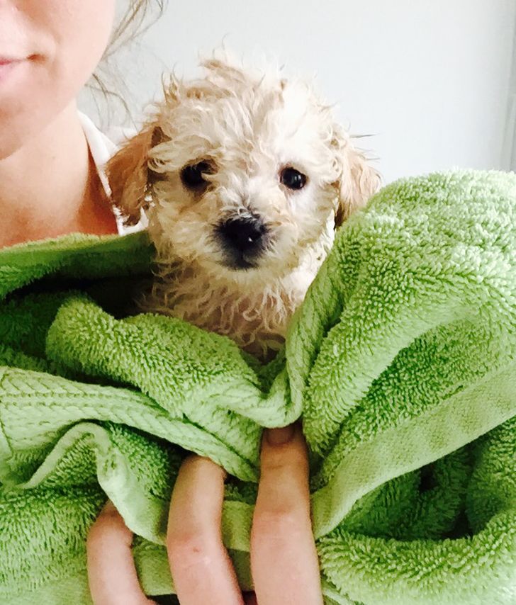 148bef5f949bf65865168f4729