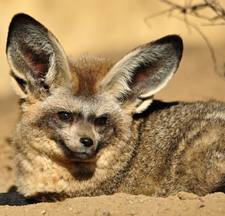 14917f54119d6f4b2c03800161