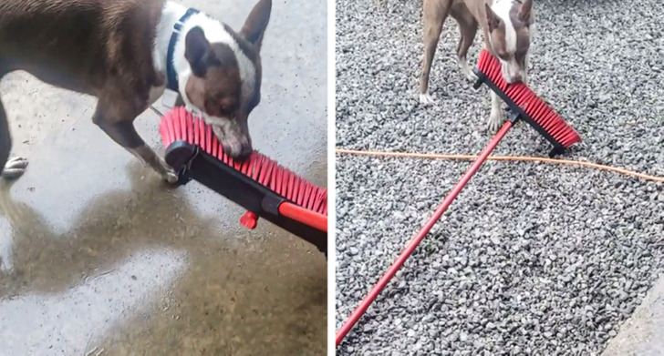 14987254049b99c704fbf0866b 14987254049b99c704fbf0866b