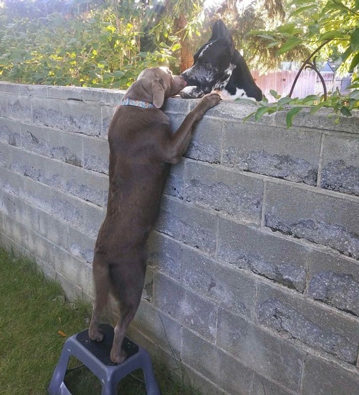 1498e75f52a60e7731b5b97a09