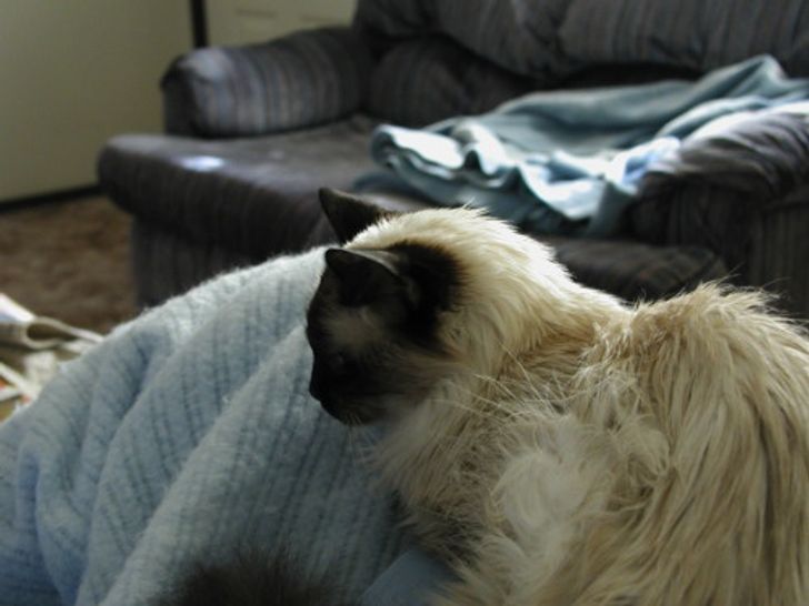 149c8f56ad963f990415c41e75