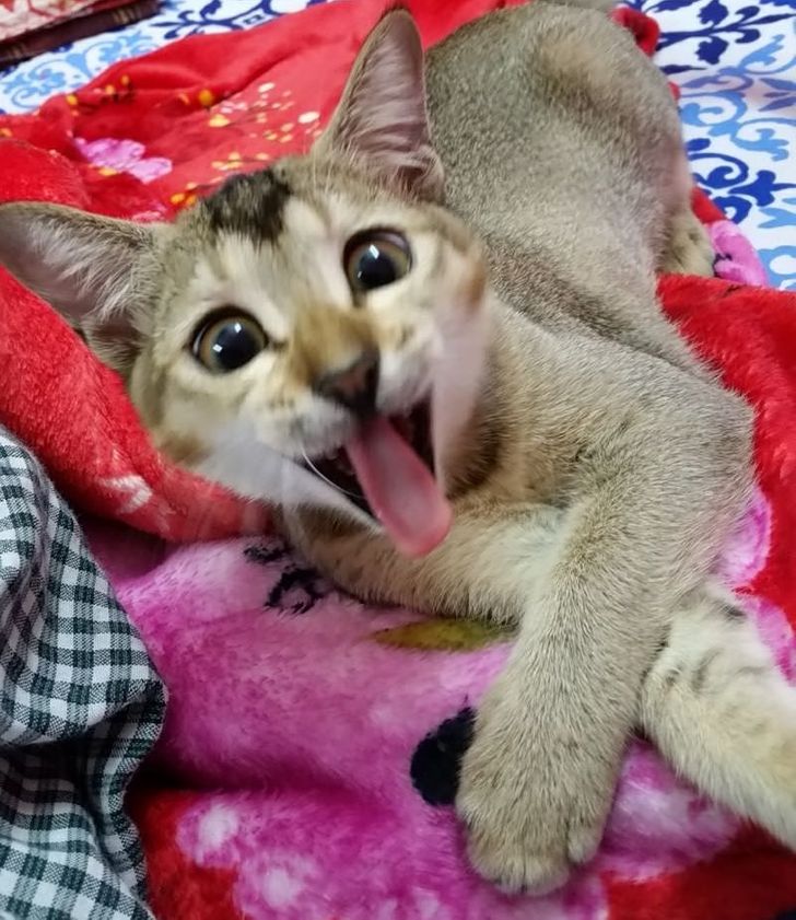 14a3c65f5eb8a3e0c944b6852f