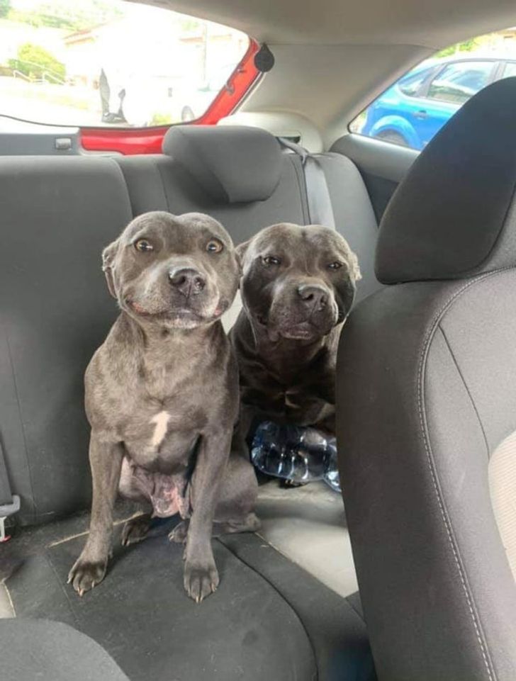 14a6c652808d8586d48837e3a2