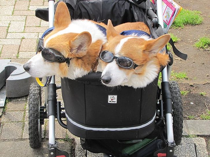 14a8155d83b55f44ccf8683028