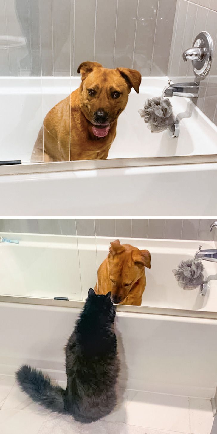 14a8df5387b3df858a2b0573aa