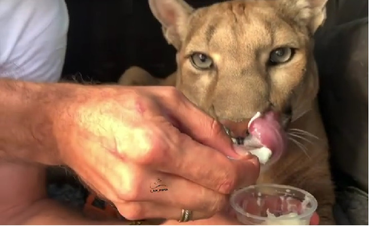 14a956558f85dd0471b01be38c