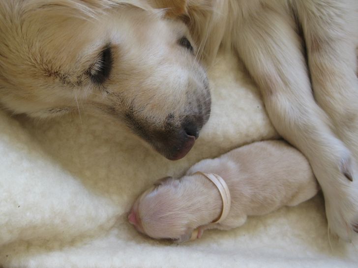 14a9565adc8c3377928715ce8d 14a9565adc8c3377928715ce8d