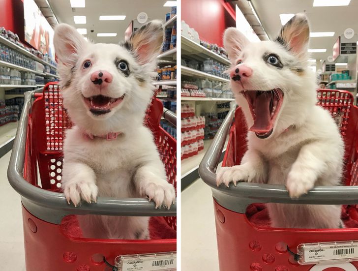 14a9b651a6ace0ce2fb8836b10