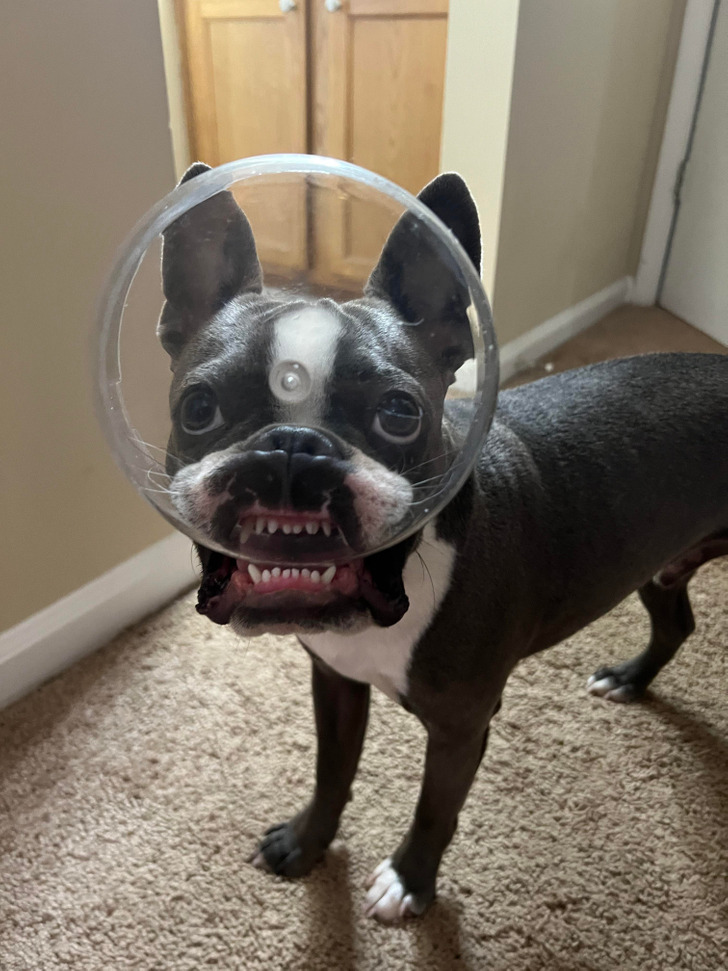 14b26a554ea04992182773d71d 14b26a554ea04992182773d71d