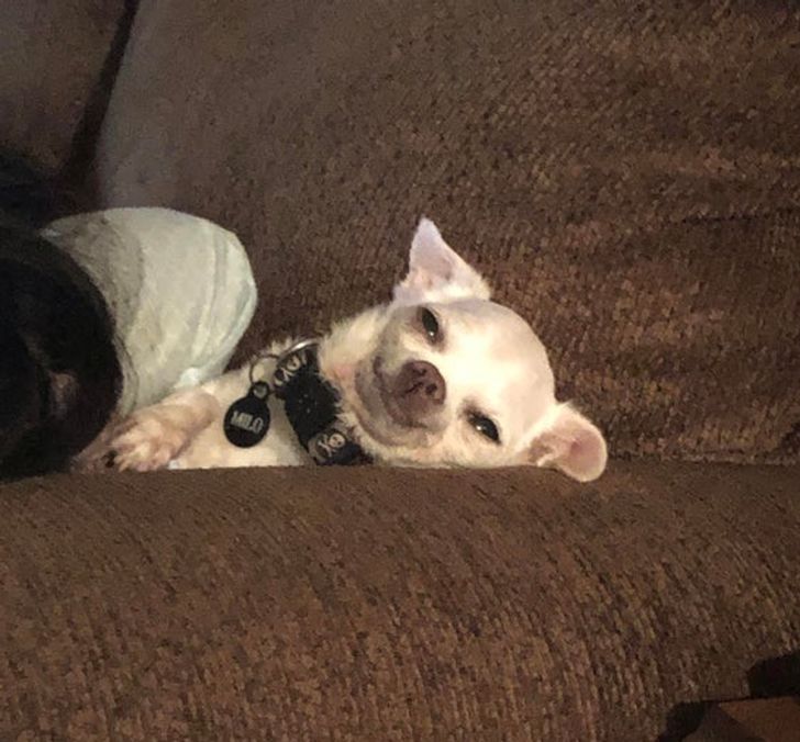 14c5aa5b72866e6da243d1cb5c