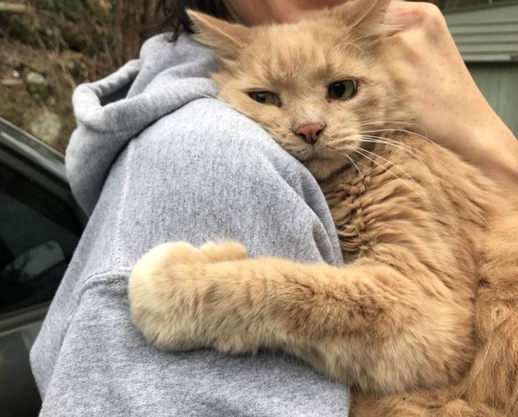 14c8ce5295832c7a8d97045d0d