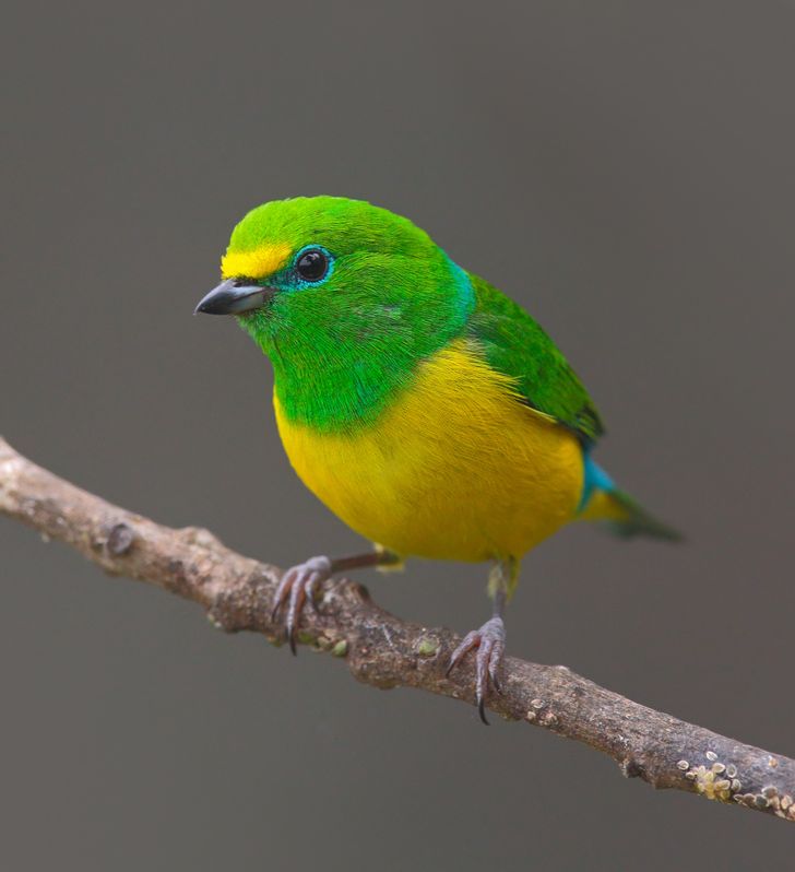 14cc8c52949cd11c74d3ff8b52