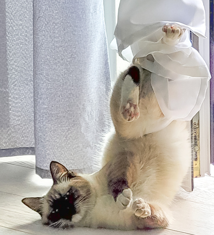 14d76a51358a7b4f9346820aa3