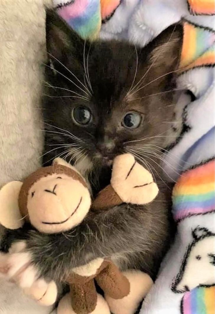 14eab15ddd9be59394b94495a5