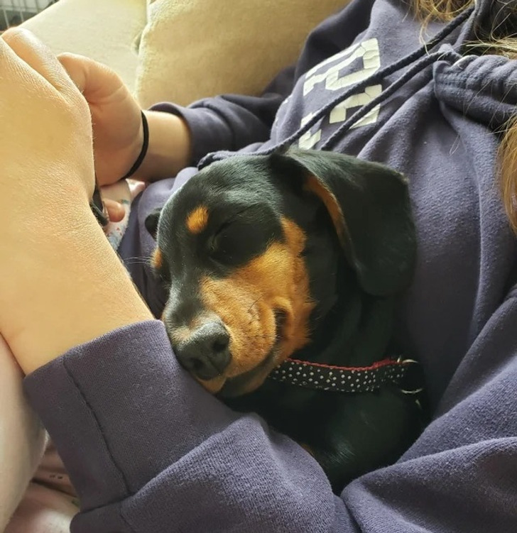 14ee645992a229ef58b92b5ad4