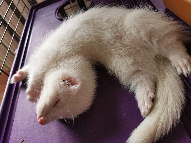 14f949574fb9be1500b6c46385