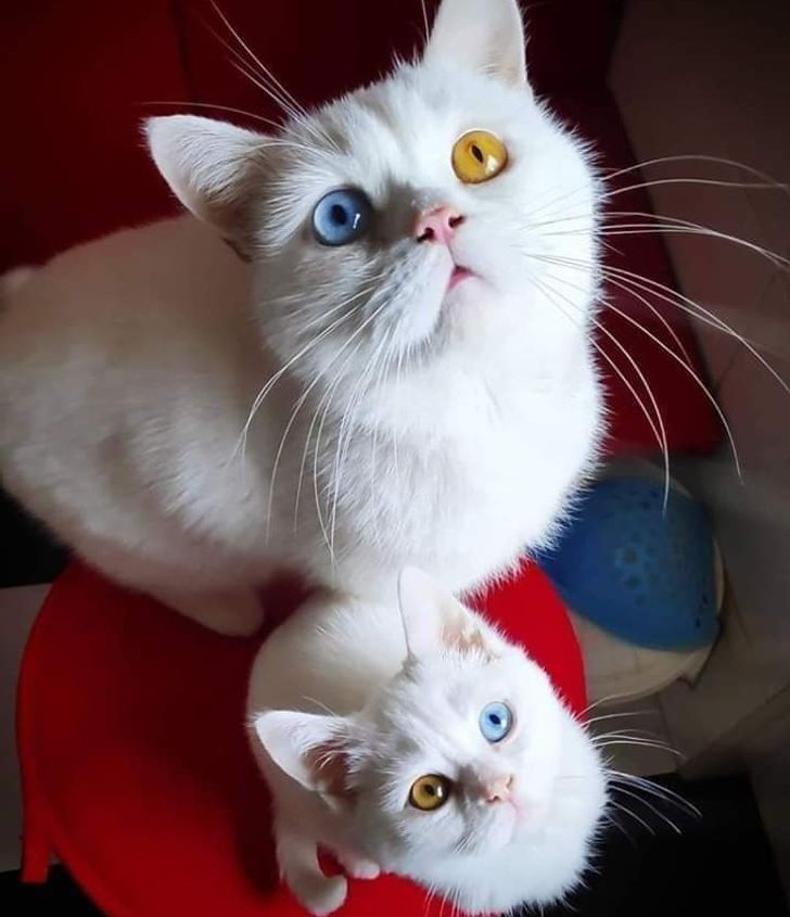 14fb5052909f31ad5bc5a7f5df