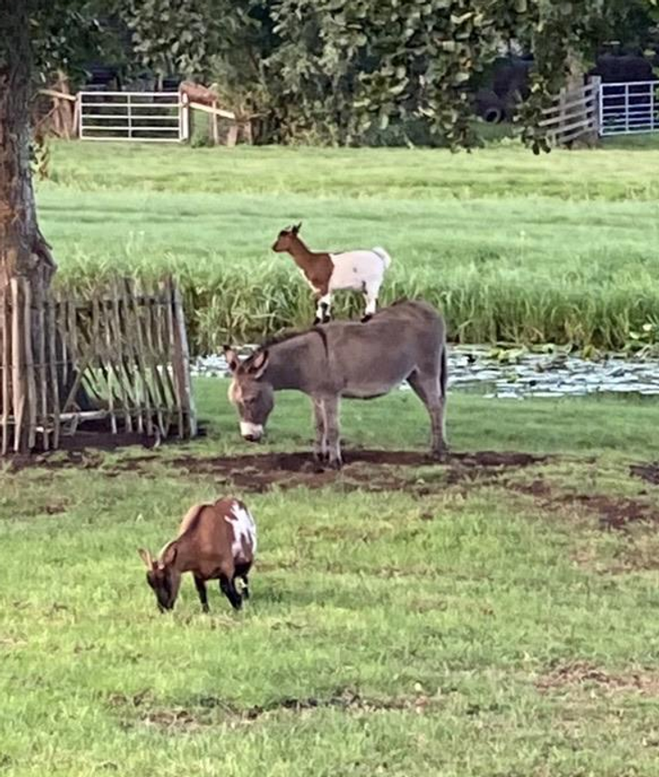 1500d75621afd69bb5adb2063a 1500d75621afd69bb5adb2063a