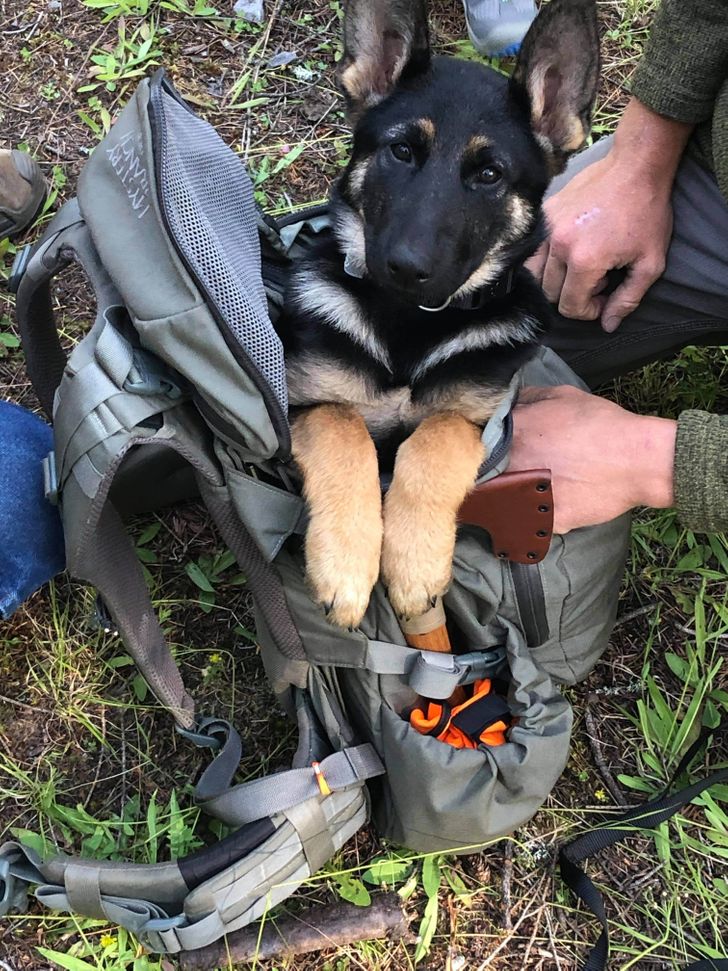 150da953e887623c2342df7db8 150da953e887623c2342df7db8