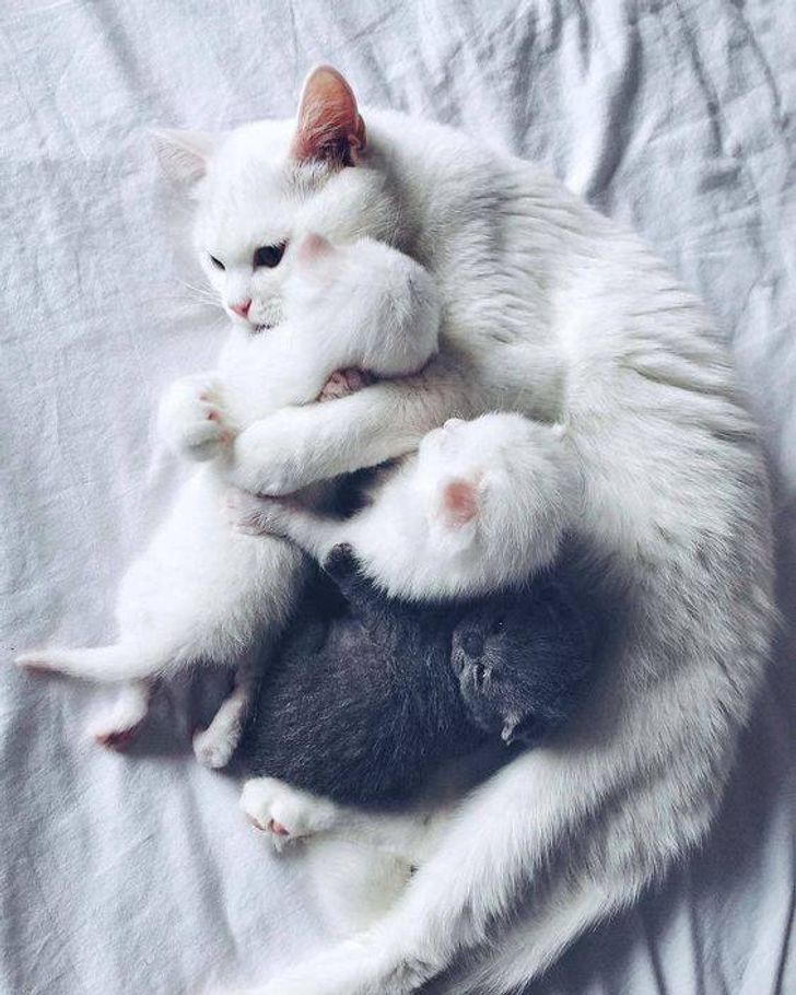 150ddf51bab7c154dc0fc3b3ee